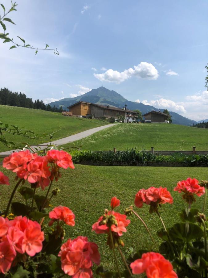 Appartement Kaiserluft سانكت يوهان ان تيرو المظهر الخارجي الصورة